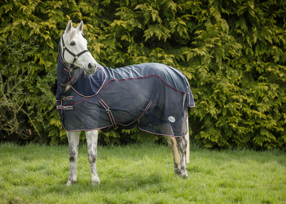 The Science Behind the Ultimate Lightweight Turnout Rug